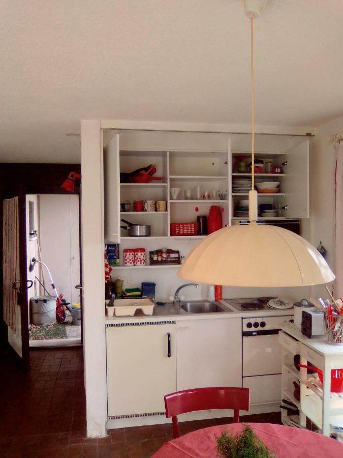 Casa Dany Apartment Lugano Bagian luar foto